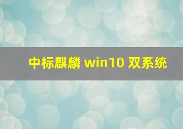 中标麒麟 win10 双系统